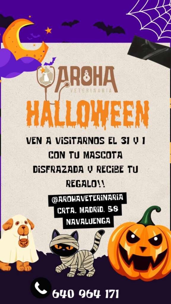 halloween aroha arohaveterinaria arohaveterinaria